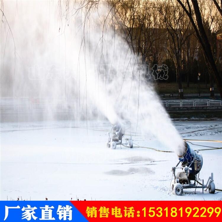 人工降雪機廠家 移動式特效舞臺造雪機 全自動霧炮式噴雪造雪機