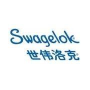 ˣswagelokyTЇ(jng)N