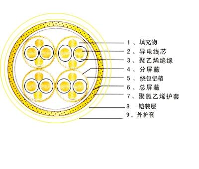 計(jì)算機(jī)屏蔽電纜-DJYPVP，DJYPV計(jì)算機(jī)屏蔽電纜-DJYPVP計(jì)算機(jī)屏蔽電纜-DJY