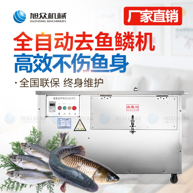 商用廠家XZ-550全自動去魚鱗機