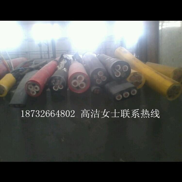 TC-2揚(yáng)聲器電纜