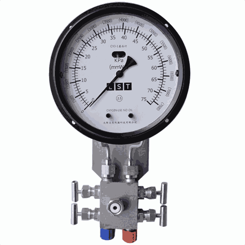 成都蘭石液位計(jì) DZHF-2組合差壓計(jì) 儲(chǔ)罐 CYJ-1液位計(jì)