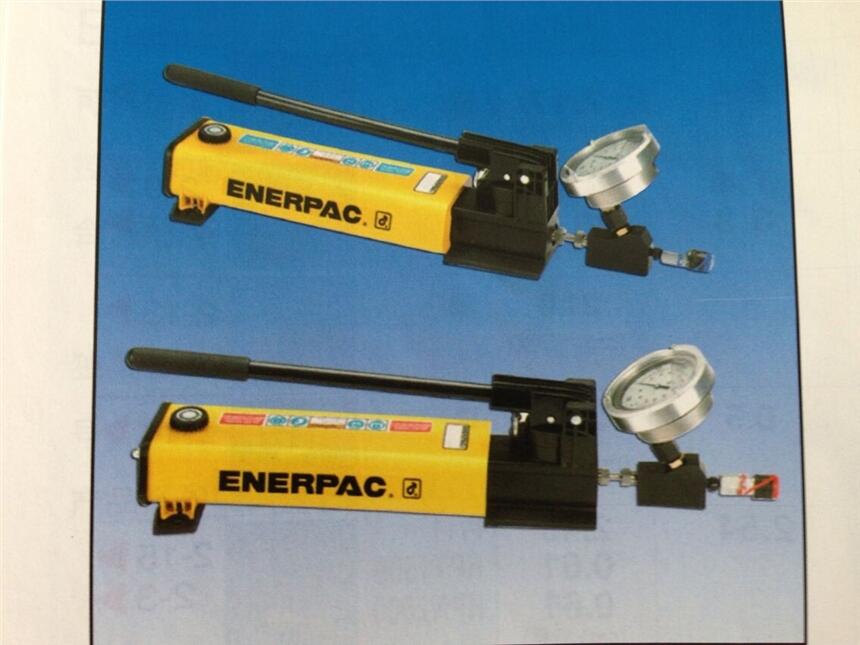 ENERPACք(dng)P462