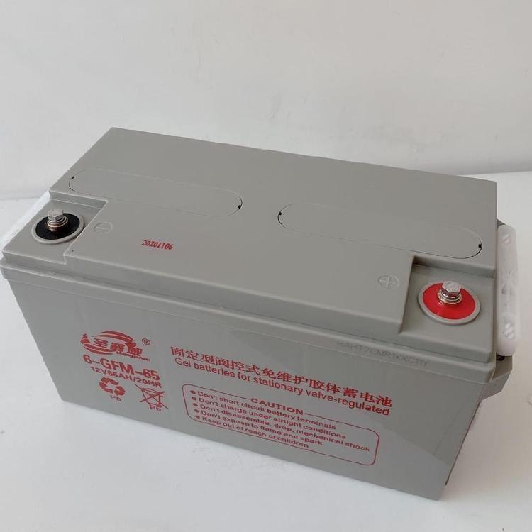 圣普威ups外接蓄電池6-GFM-65 12V38AH20HR后備時間