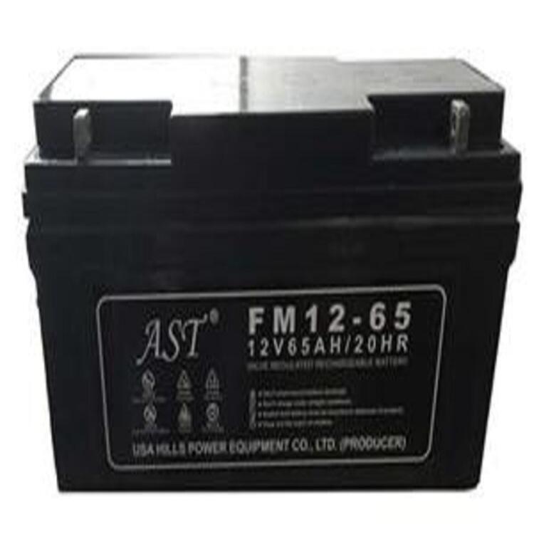 AST免維護蓄電池12V100AH型號FM12-100質保