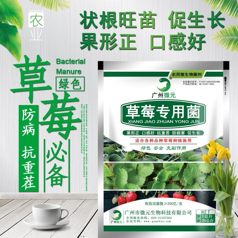 草莓專用微生物菌劑草莓專用復合微生物菌肥復合功能菌