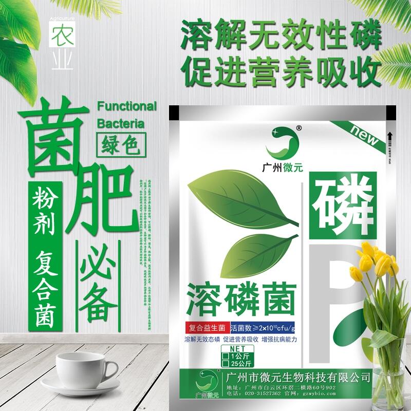 溶磷菌復合溶磷菌農(nóng)用復合芽孢桿菌生物有機肥功能菌種