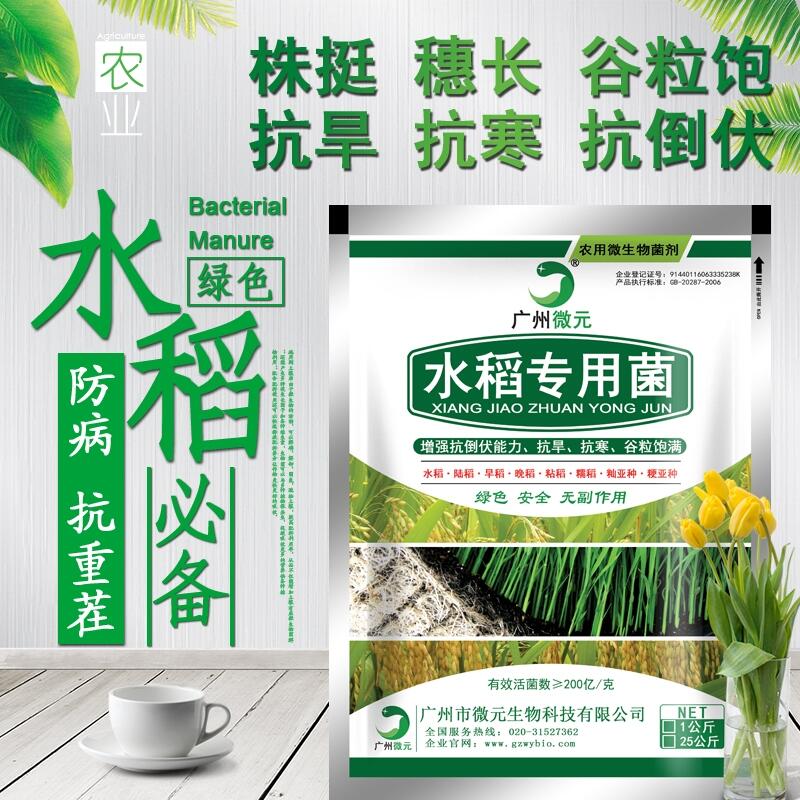 水稻專用微生物菌劑水稻專用復(fù)合微生物菌肥復(fù)合功能菌