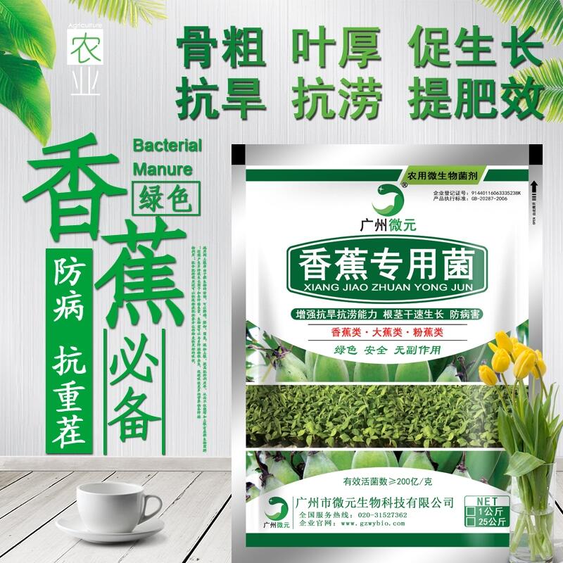 香蕉專用微生物菌劑農(nóng)用復(fù)合芽孢桿菌微生物復(fù)合功能菌