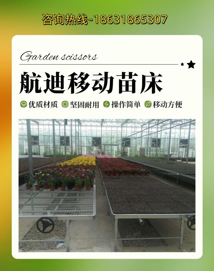 大棚固定苗床安裝設計-移動苗床網出售-各類育苗網規(guī)格生產