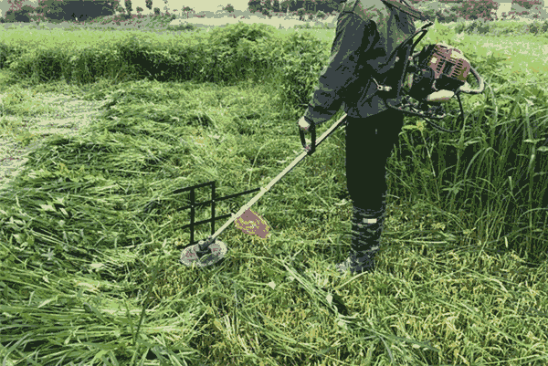 手推式小型割草機(jī)縮短工作時間