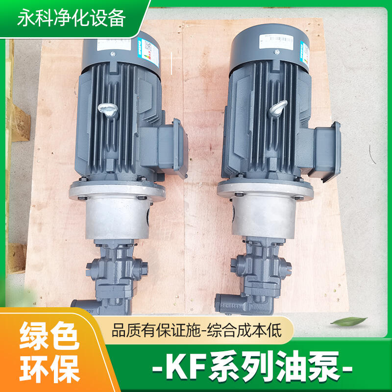 DK08RF齒輪泵燃油分油機供給泵