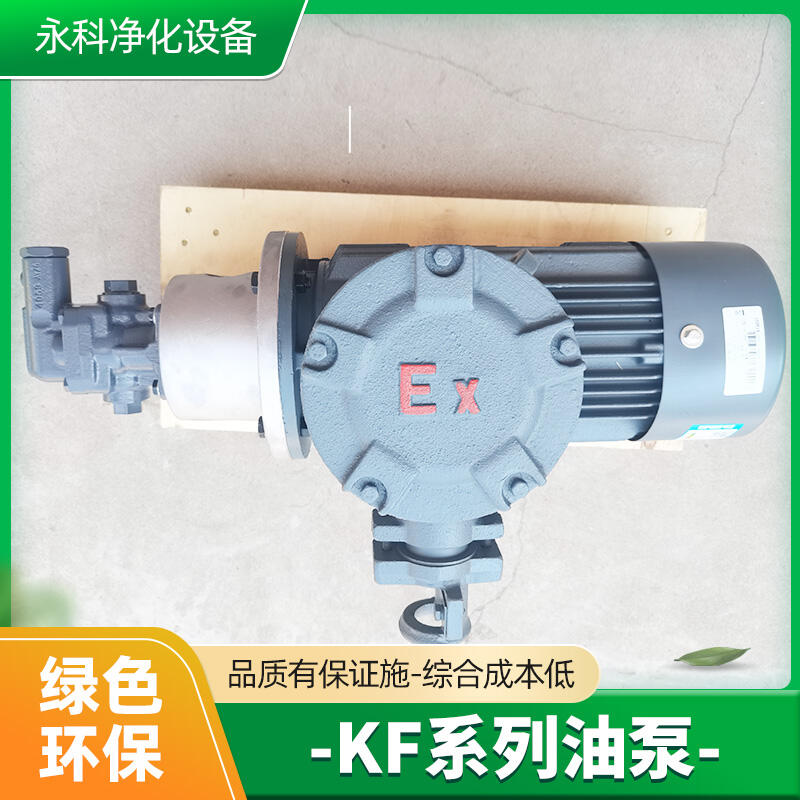 DK100RF破碎機(jī)油泵輸油齒輪泵