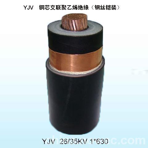 內(nèi)蒙古計(jì)算機(jī)電纜DJYPVP華強(qiáng)電纜電纜DJYPVP-1*2*1.5高溫計(jì)算機(jī)電纜