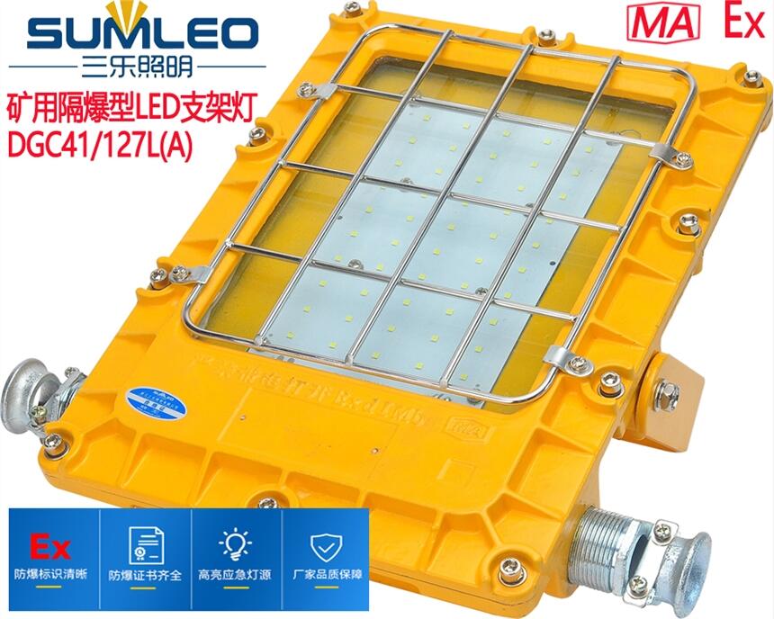 礦用隔爆型LED支架燈DGC41/127L(A)LED(40-70W)