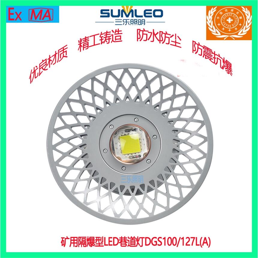 礦用隔爆型LED巷道燈DGS100/127L(A)