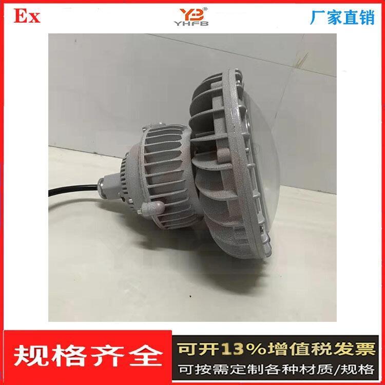 發(fā)電廠防爆照明燈