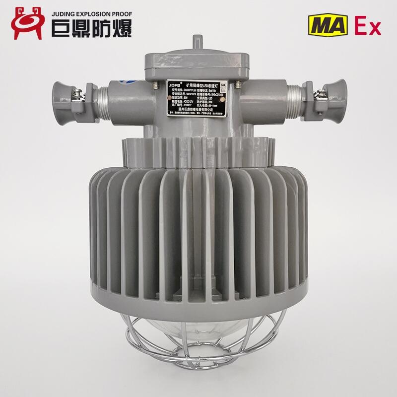 DGS60/127L(A)礦用隔爆型LED投光燈 127V圓形礦用防爆投光燈60W