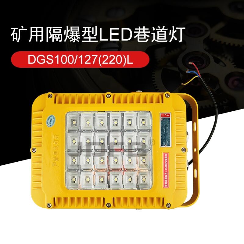 DGS系列礦用隔爆型LED投光燈:DGS100/127L(A)