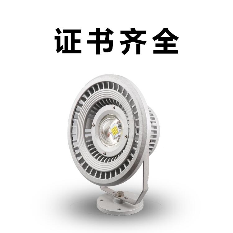 防爆免維護(hù)LED投光燈