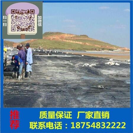 大同%雙向塑料拉伸土工格柵￥有限公司——?dú)g迎光臨