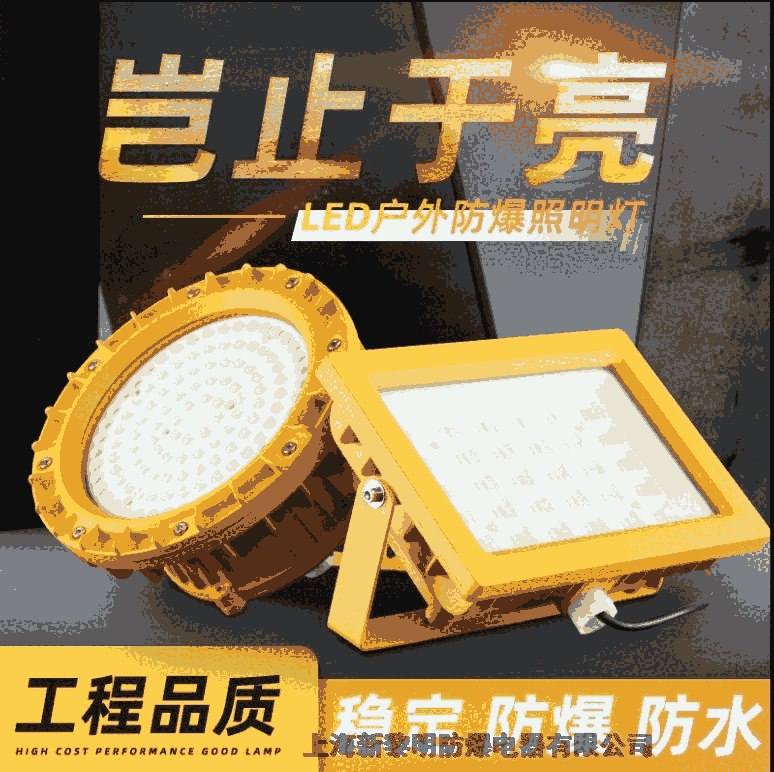 LED防爆燈大功率投光燈加油站倉(cāng)庫(kù)化工廠隧道免維護(hù)吸頂泛光燈