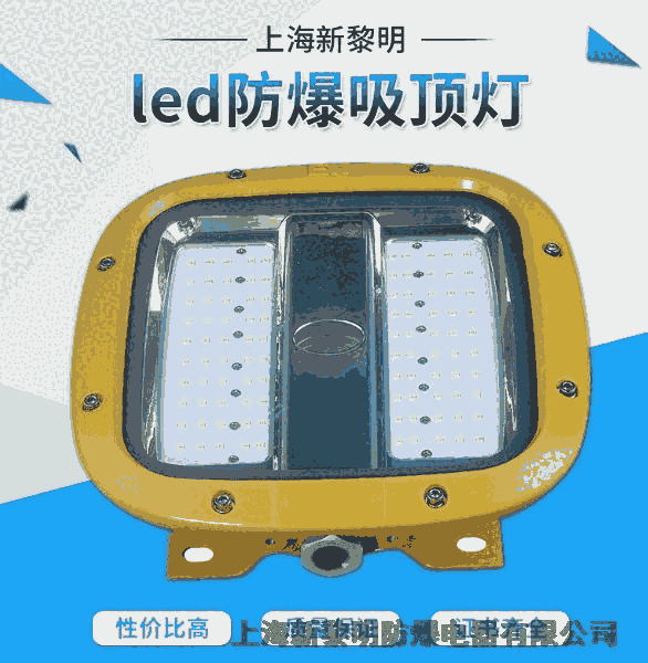 BZD910-18Wled防爆照明燈 led防爆吸頂燈