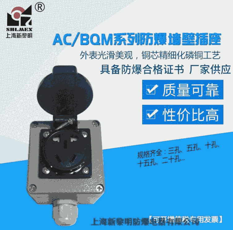 新黎明防爆墻壁五孔插銷AC-10A防爆插頭插座BCX