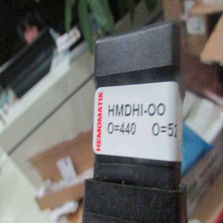 HEMOMATIK流量傳感器RLS-GD-60