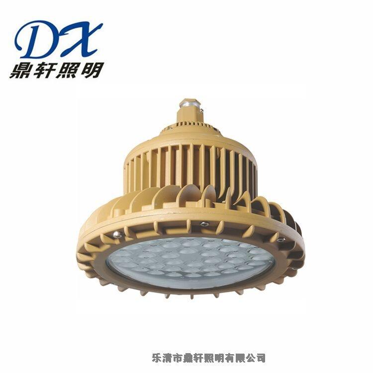 GDF9320防爆泛光燈20W/60W/120W批發(fā)價(jià)格