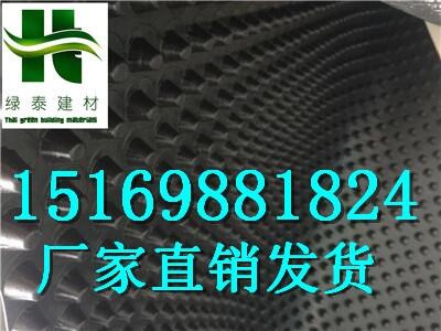 湖南%懷化市20厚30厚車(chē)庫(kù)塑料濾水板廠家