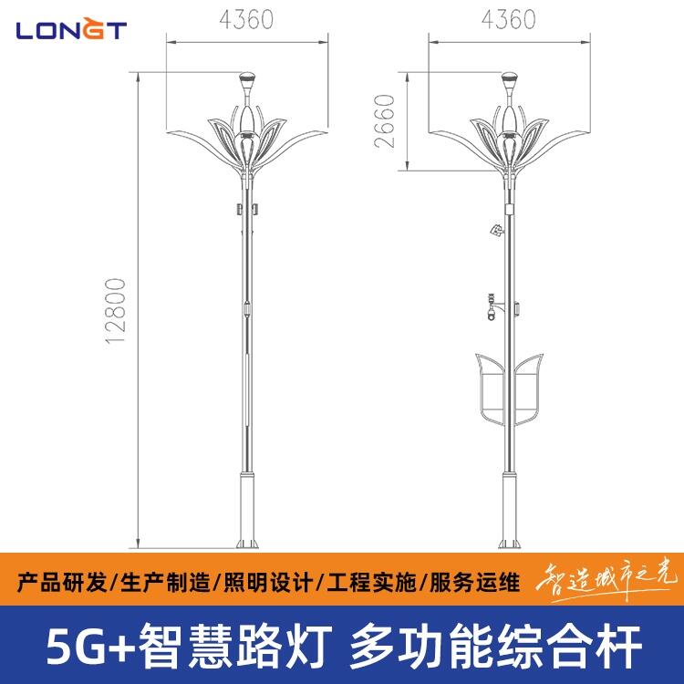 長(zhǎng)豐縣照明工程 文旅夜游工程施工 智慧燈桿EPC