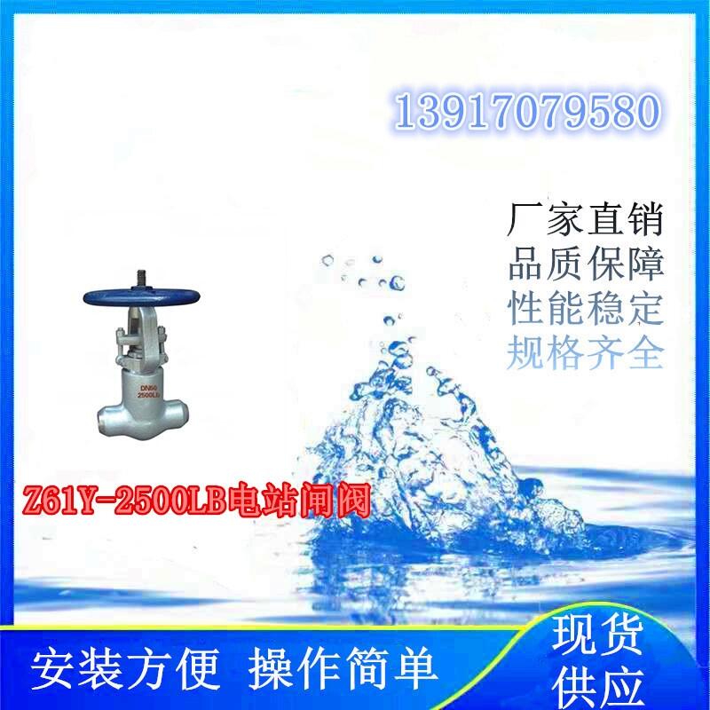 氫能項(xiàng)目上使用的Z61Y-2500LB電站閘閥