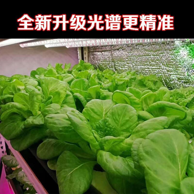 菏澤植物生長燈廠家批發(fā)LED植物生長燈 1.2米植物生長燈管