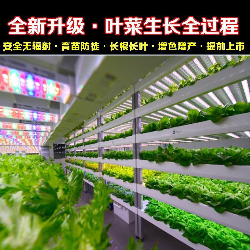 鹽城LED植物燈哪個品牌好？深圳宏陽照明專業(yè)生產(chǎn)大棚L(fēng)ED植物燈 溫室LED植物燈