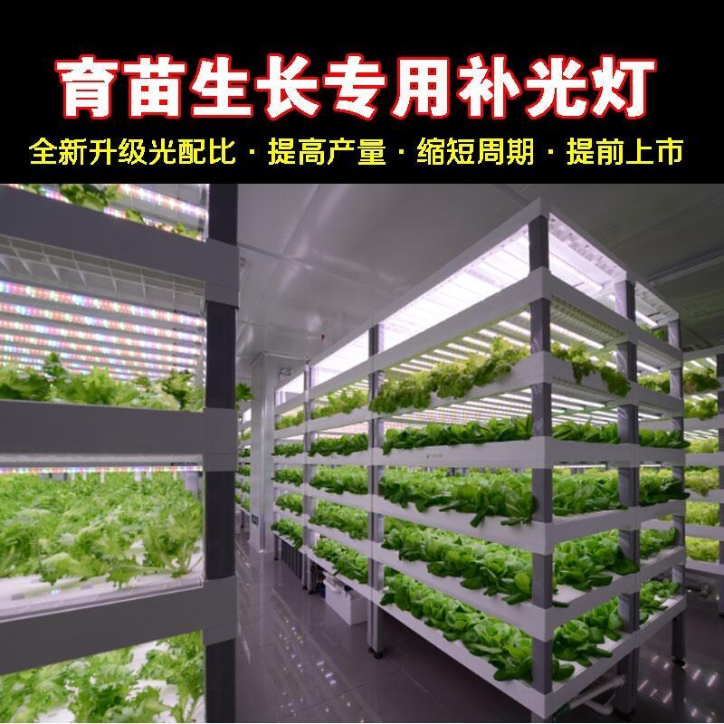 臨沂植物生長(zhǎng)燈廠家批發(fā)LED植物生長(zhǎng)燈 1.2米植物生長(zhǎng)燈管