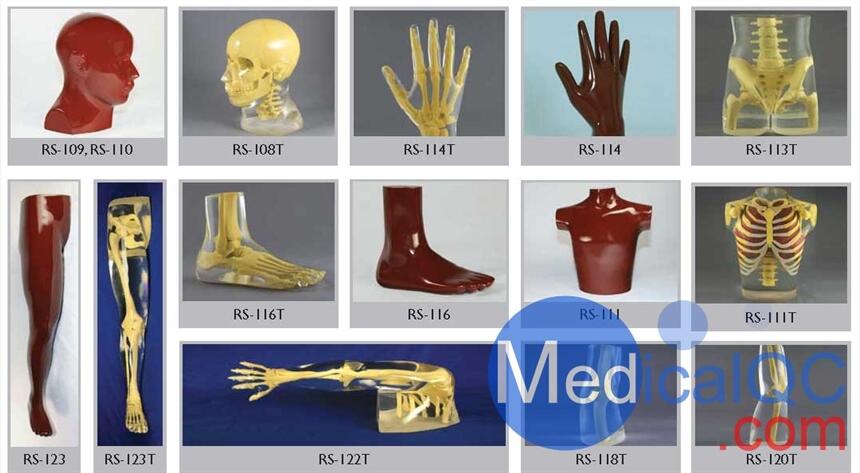 美國(guó)RSD人體部分模體，RSD RS-114T手臂模體,RSD RS-123T腿部模體