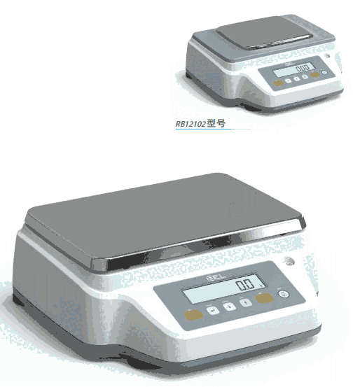 rb16001意大利BEL精密天平RB16001