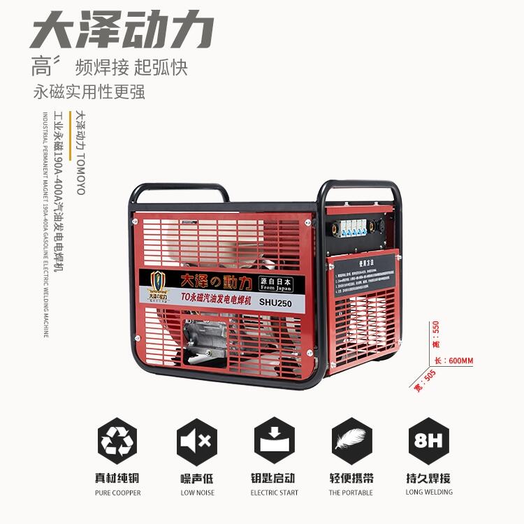 本田動(dòng)力250A汽油發(fā)電電焊機(jī)大澤SHU250