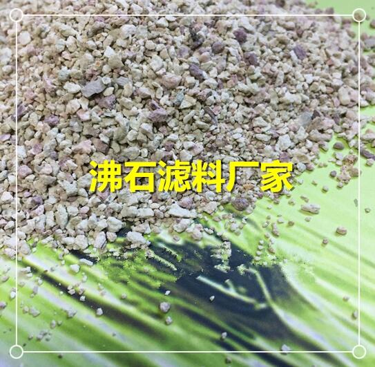 海鹽除氨氮沸石濾料哪里有廠家