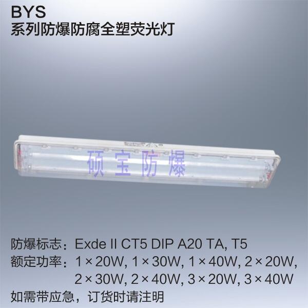 山東淄博BYS防爆防腐全塑熒光燈 LED防爆燈