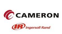 美國(guó)Cameron-Ingersoll-Rand（卡麥?。└飨盗挟a(chǎn)品