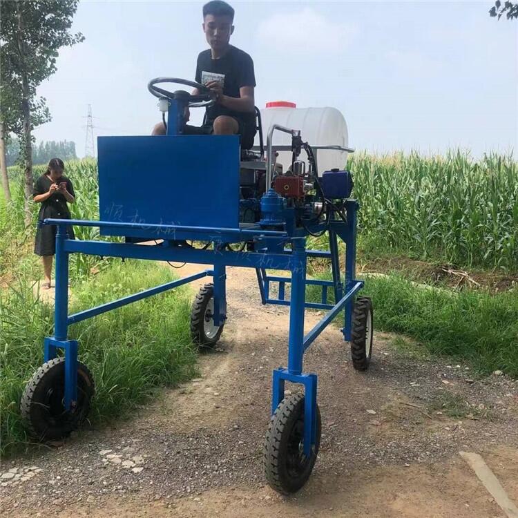 園林綠化噴霧器手推式噴霧器紹興嵊州市場報價背負式噴霧器