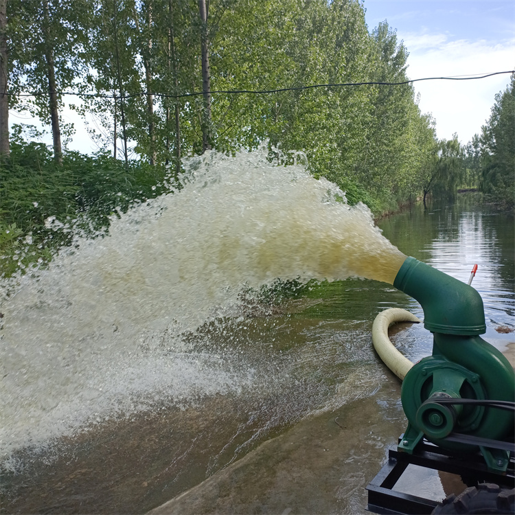 電啟動柴油機(jī)抽水泵高效耐用黔南布依族苗族自治州福泉電啟動柴油機(jī)抽水泵高效耐用