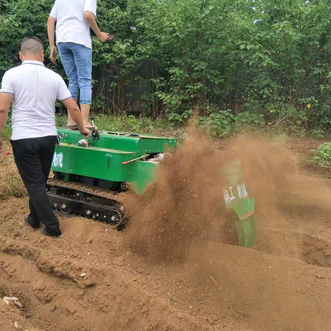 重慶云陽縣履帶式果園碎草機(jī)型號(hào)