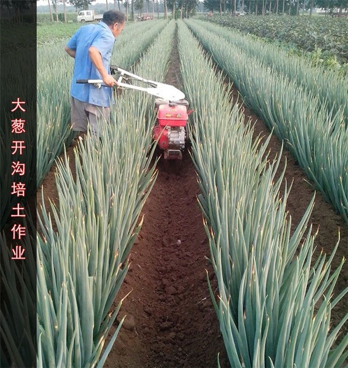 柴油柴油旋耕機 柴油微耕機報價 農用田園管理機