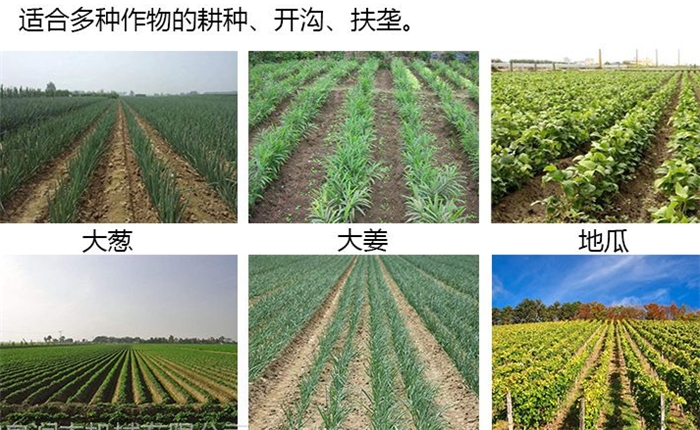 農(nóng)用手扶開溝機 多功能旋耕器 手扶田園管理機