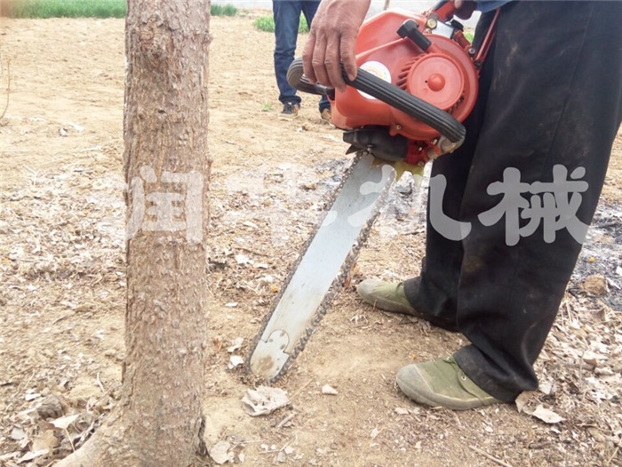 不傷根系起樹機(jī) 斷樹根移樹機(jī) 圓土坨起樹機(jī)