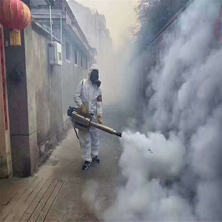 煙霧水霧兩用機 廠區(qū)打藥機 大棚果園殺蟲打藥機