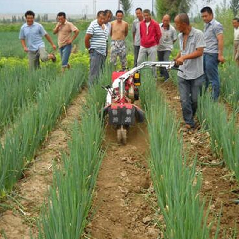 河北農(nóng)用旋耕機(jī) 自走式田園管理機(jī)